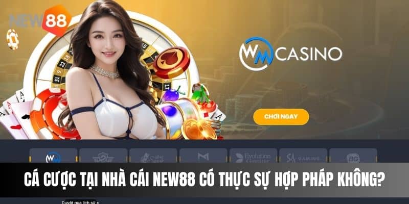 Cá cược tại nhà cái NEW88 có thực sự hợp pháp không?