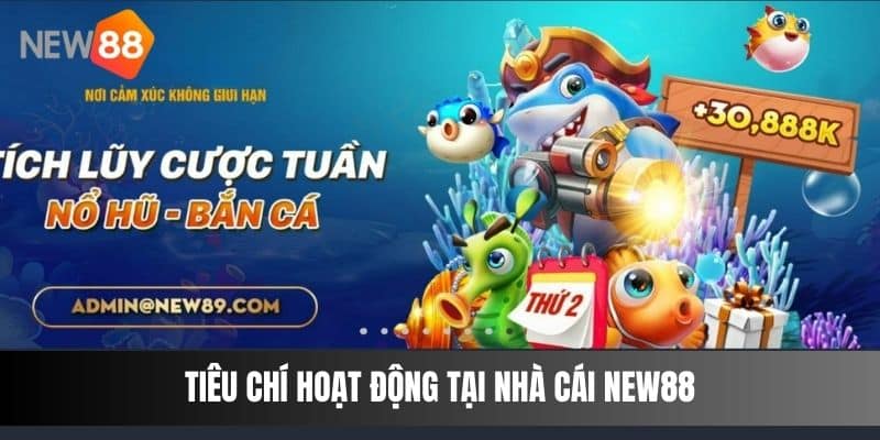 Tiêu chí hoạt động tại nhà cái NEW88